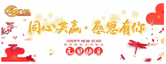 【元旦快乐】喜迎元旦，携手共进，2019愿我们再一起荣耀起航