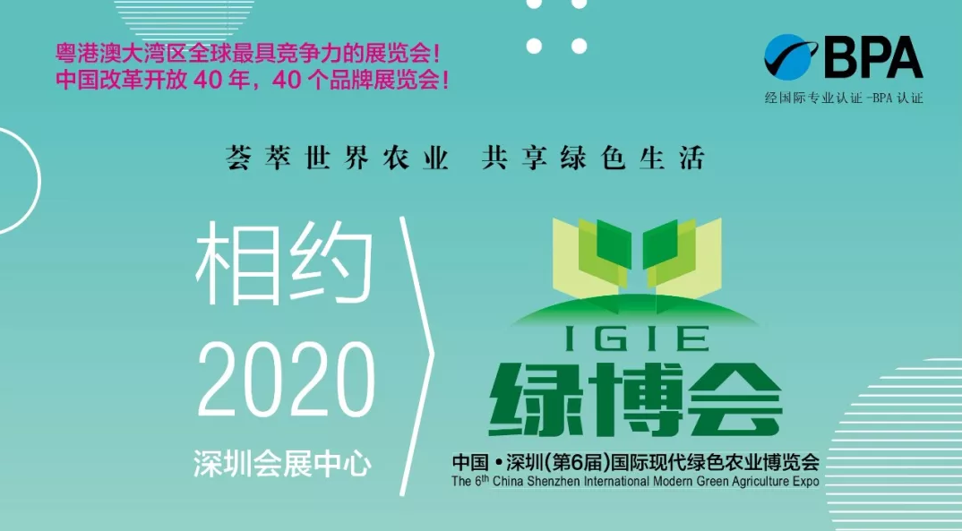 【重磅推出】2019第五届深圳绿博会现场纪实片隆重首播！