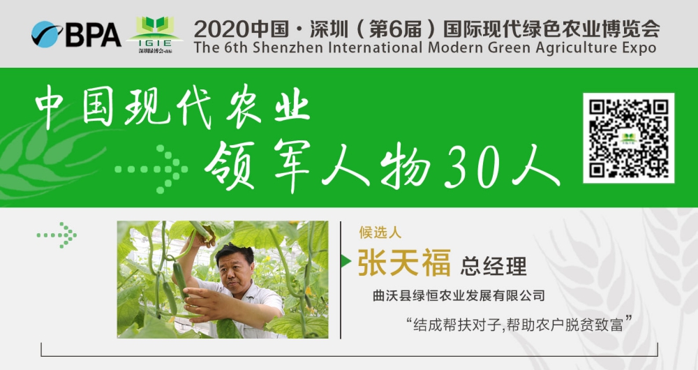 【现代农业领军人物30人】张天福——以工促农产业兴，脱贫致富生态优