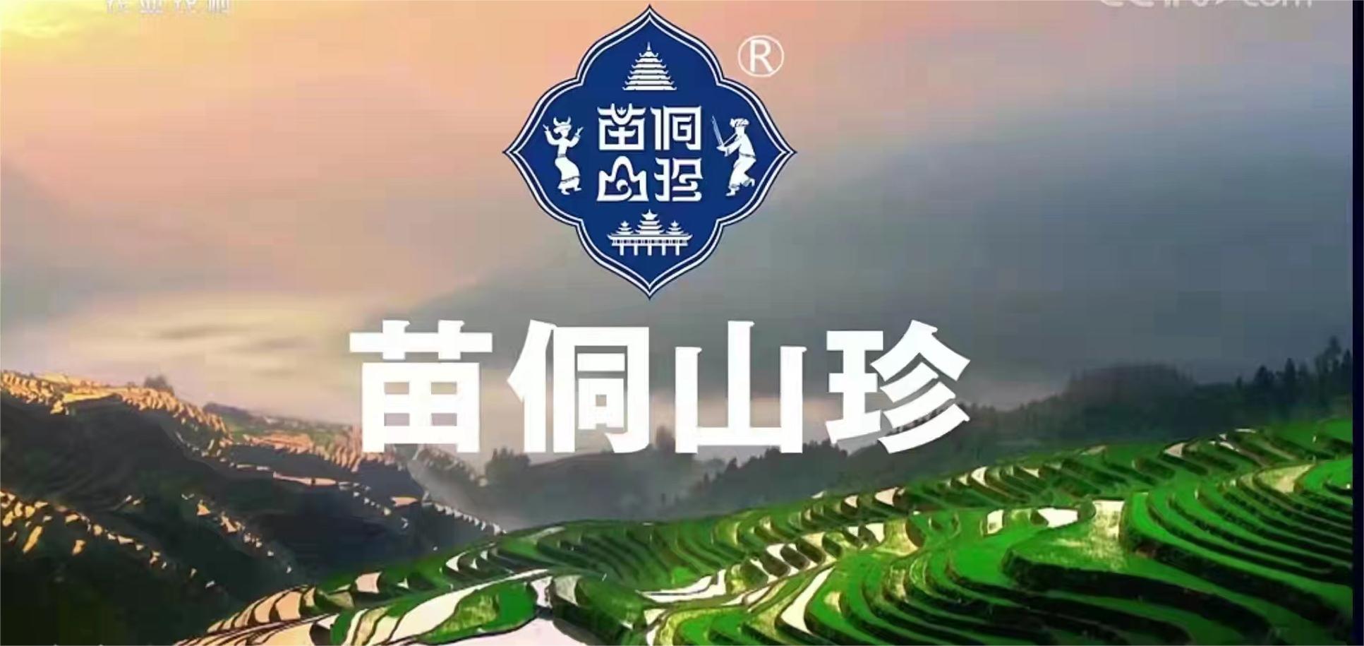 【每周优品】走进贵州茶山，了解贵州原生态绿茶！