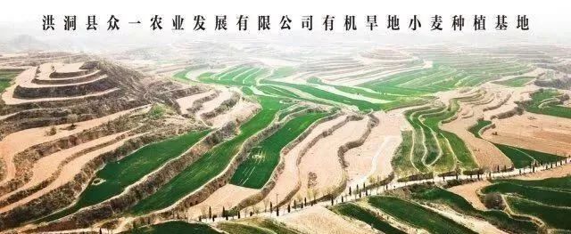 【展商风采】健康为天，饮食为先，品质出众，始终如一
