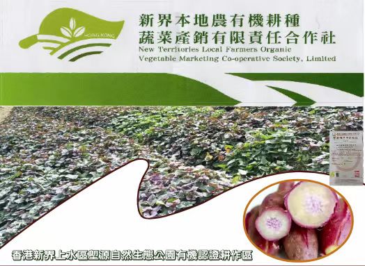 【每周优品】香港本地红薯——好吃不贵，营养丰富！