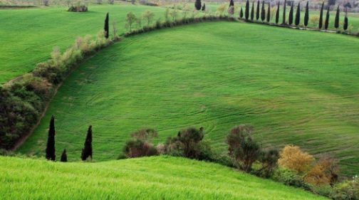 特色农业加旅游 带旺美丽乡村 特色农业加旅游 带旺美丽乡村