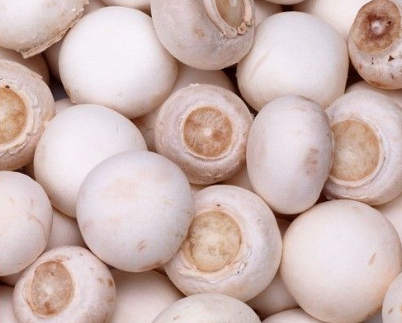 绿色食品双孢菇的营养价值和功效作用是什么