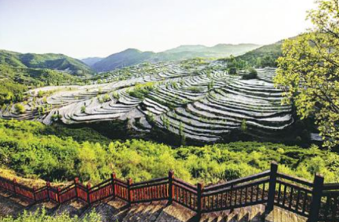 安康白河卡子镇：农业旅游融合，传承弘扬农耕文化
