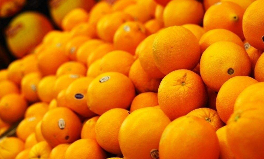 绿色食品橙子是如何种植的